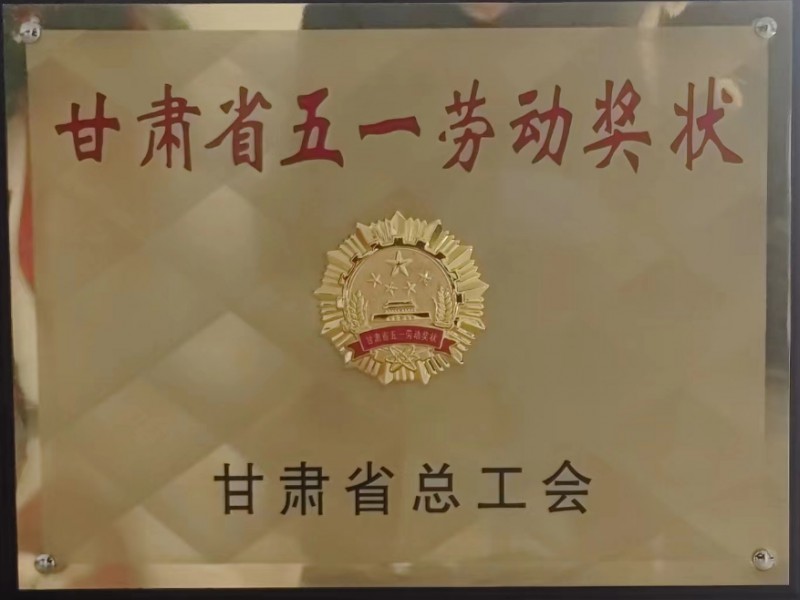 蘭州市西固區(qū)非公經(jīng)濟(jì)組織黨委領(lǐng)導(dǎo)一行蒞臨我司調(diào)研指導(dǎo)工作