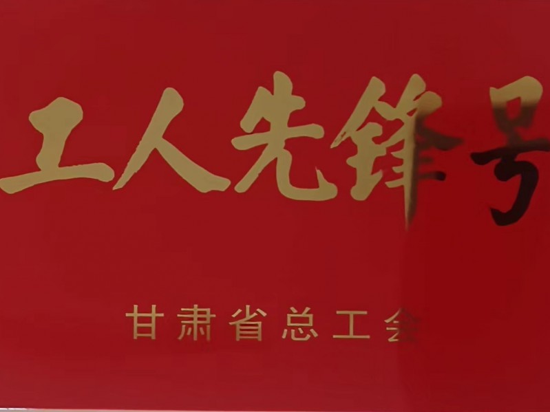 蘭州市西固區(qū)非公經(jīng)濟(jì)組織黨委領(lǐng)導(dǎo)一行蒞臨我司調(diào)研指導(dǎo)工作